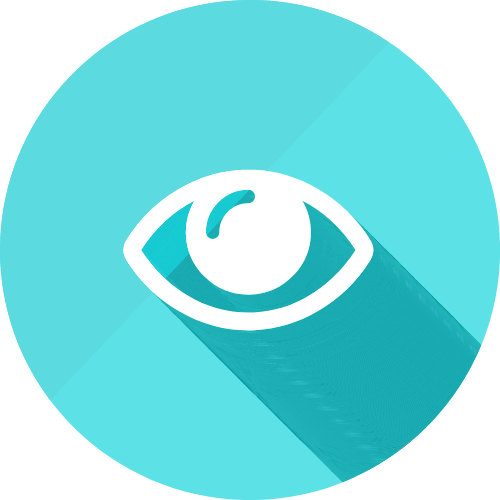 Blink Optometrists Services Icon Eye care