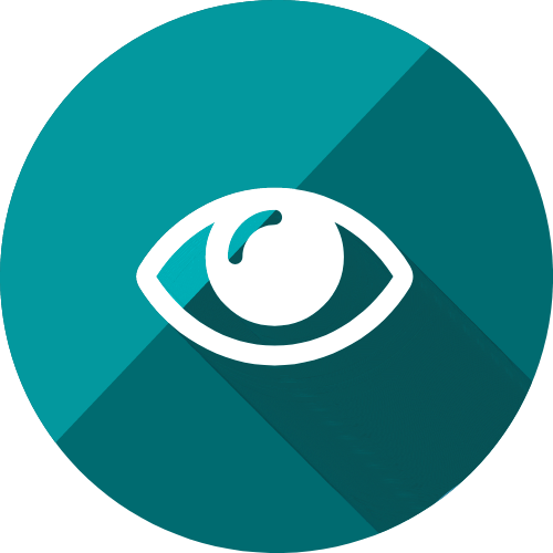 Blink Optometrist icon